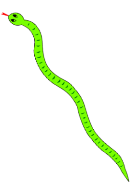 snake-4